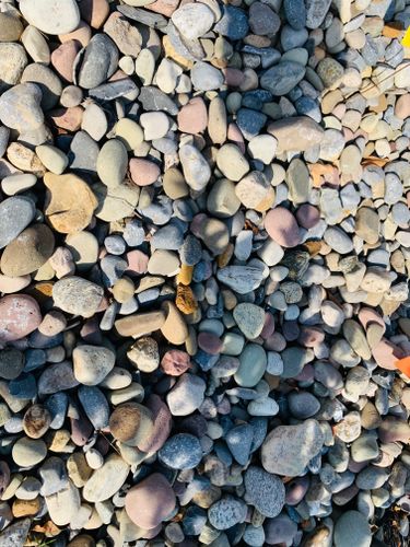 All Photos for New Creation Landscaping in Myrtle Beach, SC