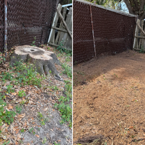  for Greene Acres Stump Grinding in Plant City, FL