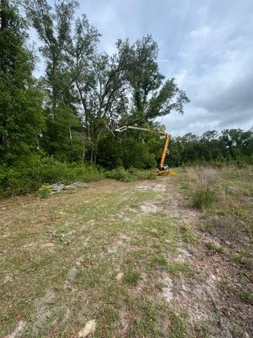 All Photos for All Seasons Tree and Land Works in Trenton, FL