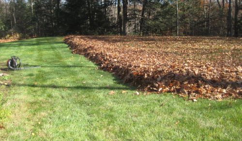 Fall Clean Up for Lamb Brothers Land Clearing in Murray, KY