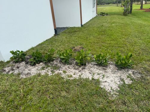 Sod installation for BH Lawn and Landscape in Fort Myers, FL
