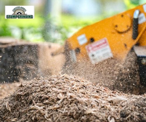  for Greene Acres Stump Grinding in Plant City, FL