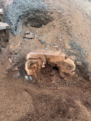  for Clifford’s Quality Tree Care & Landscaping in Enfield, NH