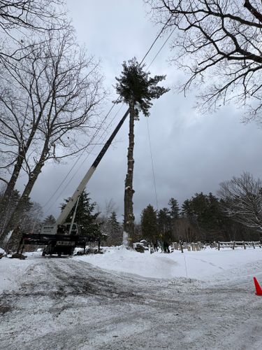  for Clifford’s Quality Tree Care & Landscaping in Enfield, NH