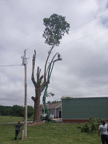 Tree Trimming for Backwoods Tree Experts in Hickory, NC
