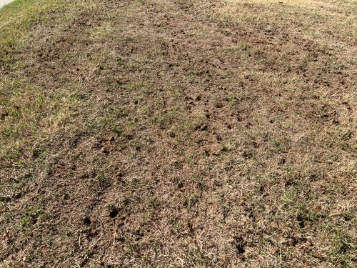 Aeration for Prime Lawn LLC in Conyers, GA