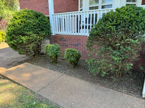 All Photos for Grass & Blast Property Solutions in Spring Hill, TN
