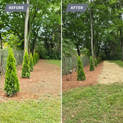 Mulch Installation for Optimum Tree Service And Landscaping in Bowling Green, KY