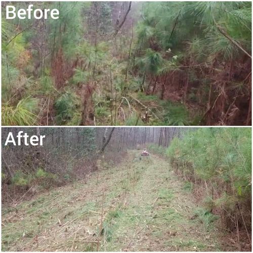 R.O.W. Maintenance for Fayette Property Solutions in Fayetteville, GA
