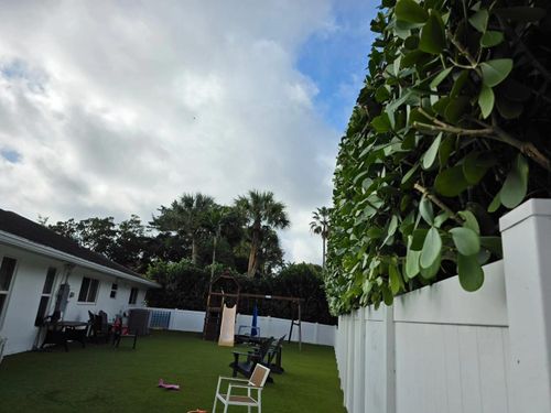 All Photos for Bridgewater Arbor Care LLC in Jupiter, FL