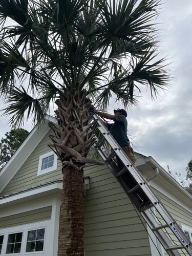 All Photos for New Creation Landscaping in Myrtle Beach, SC