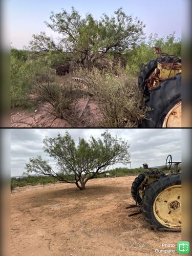 Tree Trimming for Compas Cleanup in McCamey, TX