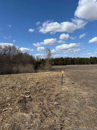  for Root Land Management in Watkins, MN