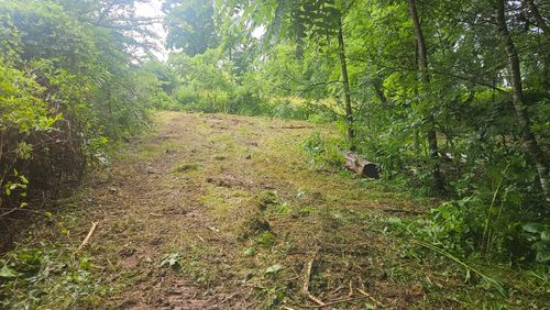  for B&B Land Management in Jamestown, TN