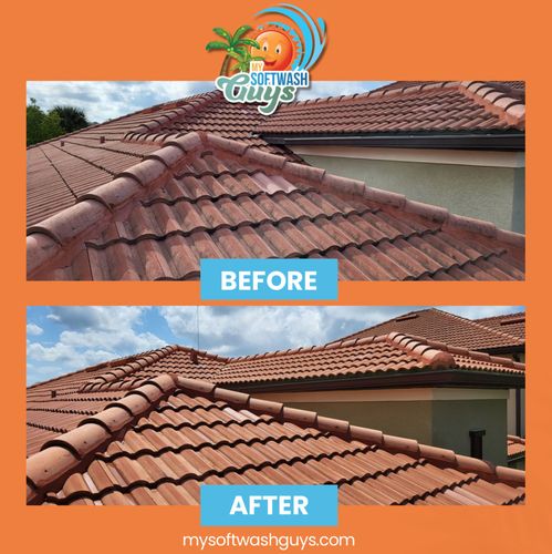 Roof Cleaning for My Softwash Guys in Venice, FL