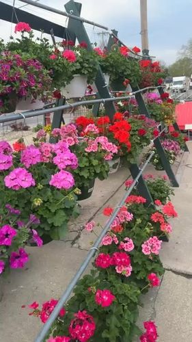 Gardening for Mayfield Landscaping in Staunton, IL