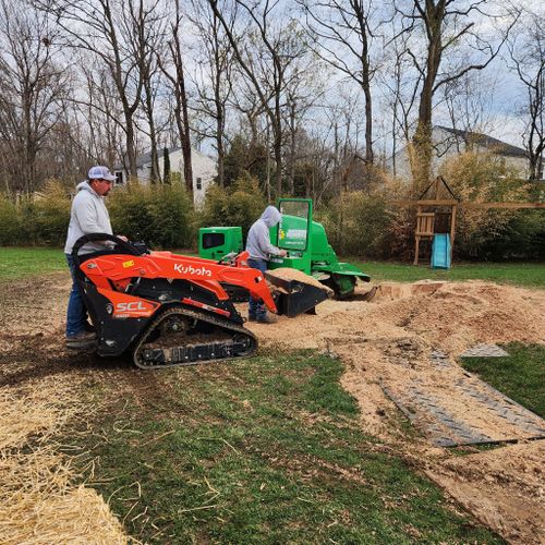 All Photos for Carpenter's Tree Service in Aurora, IN