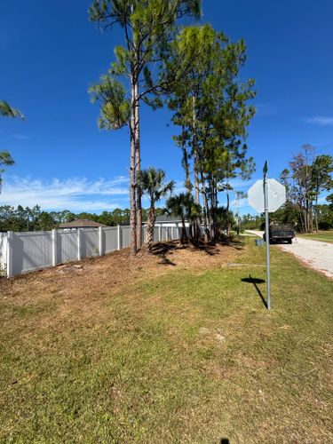 Landscaping for Rize N’ Grind  in Punta Gorda, FL