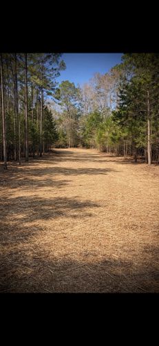 All Photos for Thin Blue Line Ventures in Bonifay, FL