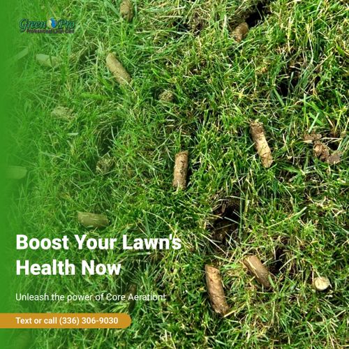  for Green Pro Lawn Care in Greensboro, NC