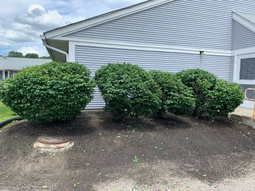 Hedge Trimming for Murray Mowing and More in Ashaway, RI