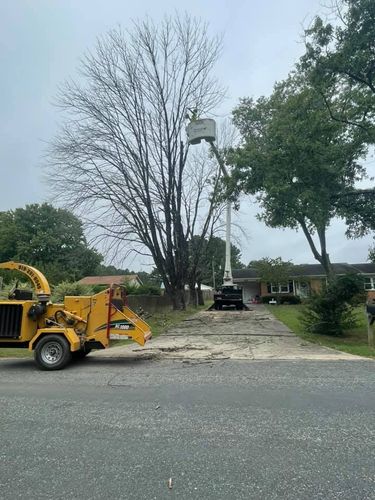 All Photos for Hoss Tree Works & Logging in Durham, NC