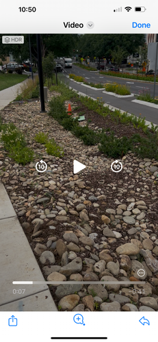 Other Lawn Services for Russell's Lawn Care Plus in Nashville, TN