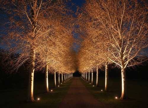 Outdoor Lighting for Unique Outdoor Lighting in Short Hills, NJ