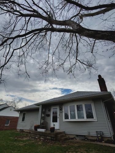 All Photos for Pro Tree Trim & Removal, Llc in Dayton, OH