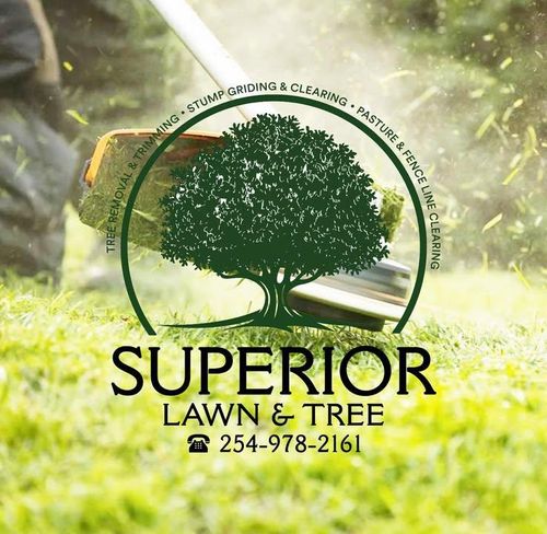 Tree Removal for Superior Lawn and Tree LLC in Clifton, TX