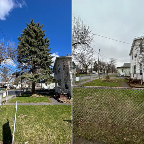  for S.H. Tree Service LLC in Hilton, NY