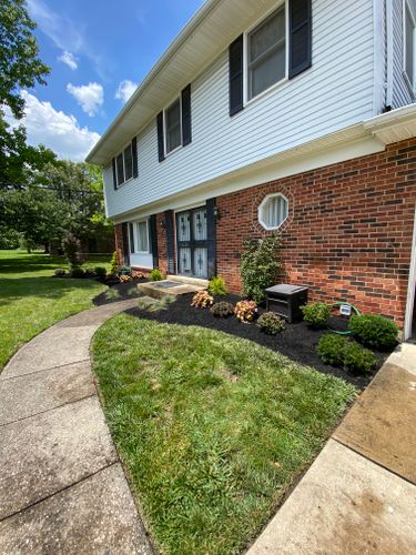 Shrub Trimming for Castle JR Landscaping & Painting LLC in Cincinnati, OH