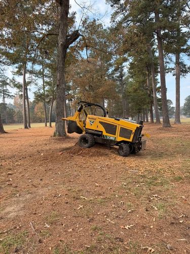 Stump Excavation for Dozier Stump Grinding in Augusta, GA