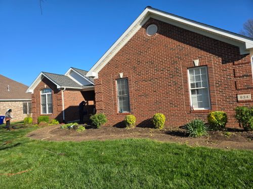 Shrub Trimming for Optimum Tree Service And Landscaping in Bowling Green, KY