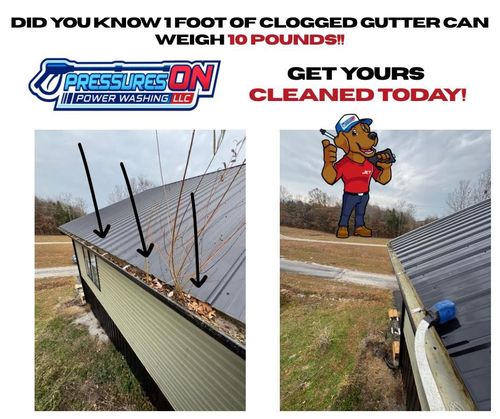 Fence Washing for Pressures On LLC  in Bowling Green,  KY