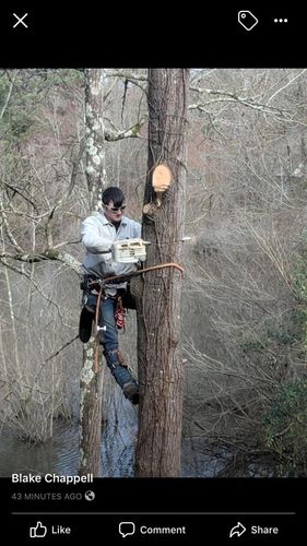  for Jeff’s Tree Service in Southside, AL