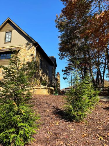 Landscaping for Andy's Tree Service in Zirconia, NC