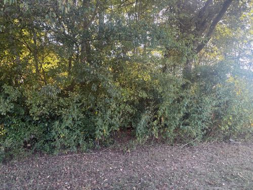  for Circle W Services in Canton, TX