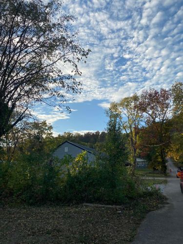 Fall and Spring Clean Up for Atwood’s Tree Care in Liberty,  KY