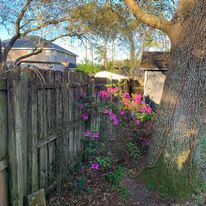 Gate Installation and Repair for Red's Premier Fencing LLC  in Jacksonville, FL