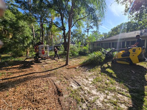 Underbrush Clearing for Near Me Tree Service, Inc. in DeLand, FL