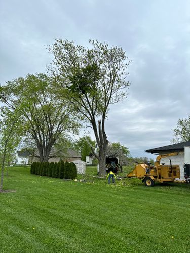 Tree & Stump Grinding Removal for Torres Lawn & Landscaping in Valparaiso, IN