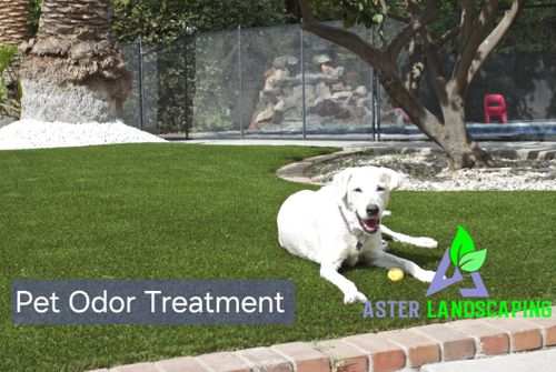 Landscape & Design with Commercial Landscaping for Aster Landscaping in Temecula, CA