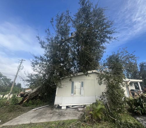 Immediate Response Tree work for storm damage for TREE BOYS in Ruskin, FL