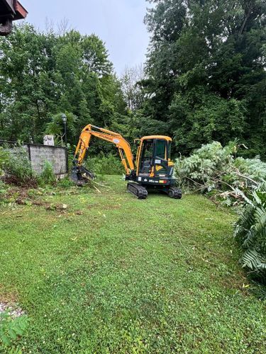 Tree & Shrub Care for Spencer Enterprise in Arcade, New York