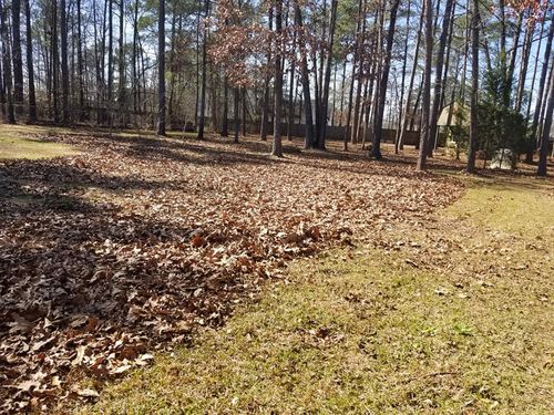 Debris Cleanup for South Montanez Lawn Care in Fayetteville, NC