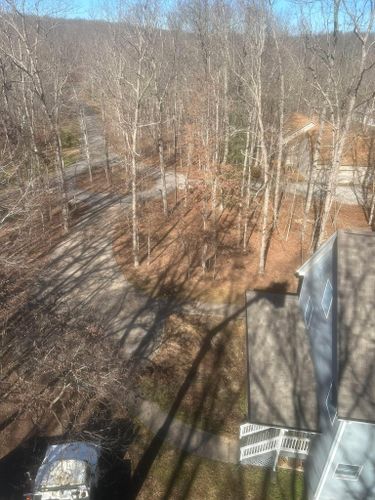  for McBee’s Tree Service in Sewanee, TN