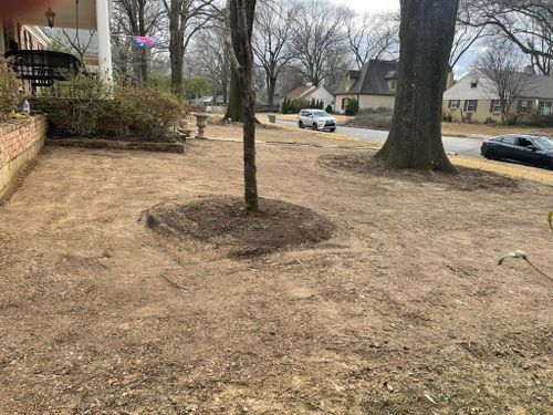 Landscaping for Emory's Garden Landscape Emporium in Memphis,  TN