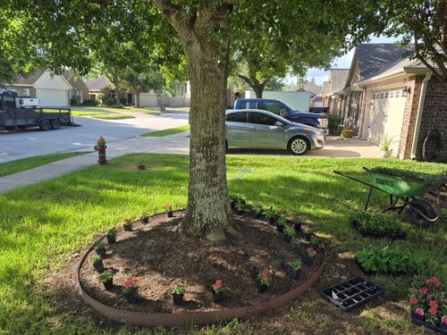 Landscaping for Texas Lawn & Sprinkler Co. in Houston, TX