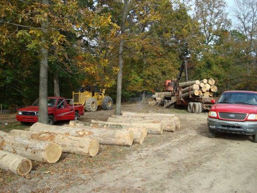 Logging for Bennett Logging in Gosport, Indiana